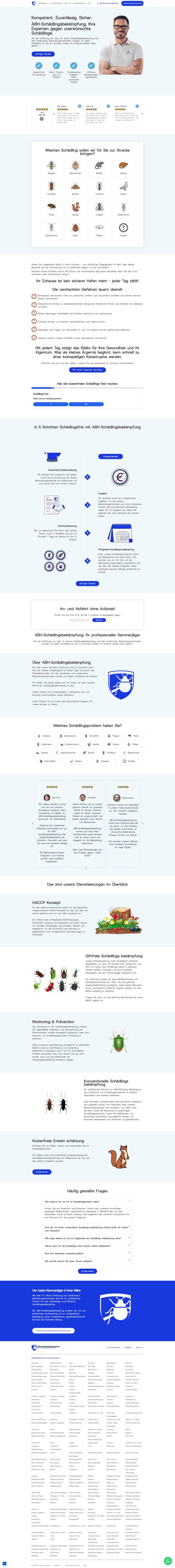 Successful web development project by Dev Dexterous